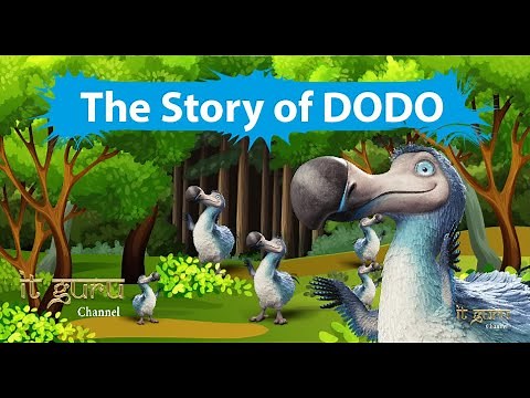 The Story of DODO #dodo