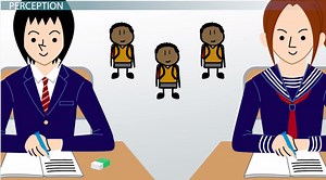How Environmental Variables & Other Factors Influence Perception - Video | Study.com