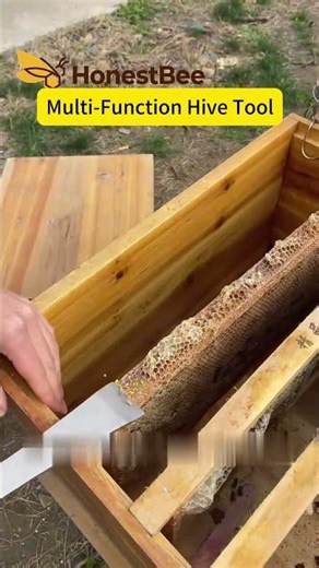 How to Use the Multi-Function Stainless Steel Hive Tool