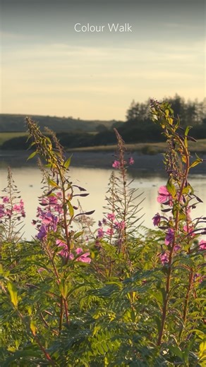 1.7K views · 167 reactions | The Cornish landscape is a constant...