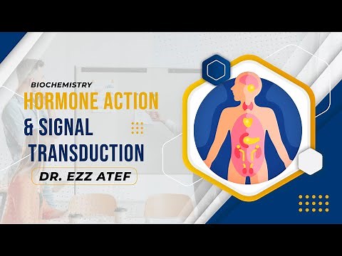 Biochemistry - Endocrine - Hormone action & Signal transduction