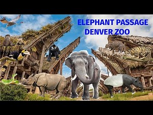 Uncaged Zoo Tours: Toyota Elephant Passage at The Denver Zoo #uncagedzootours