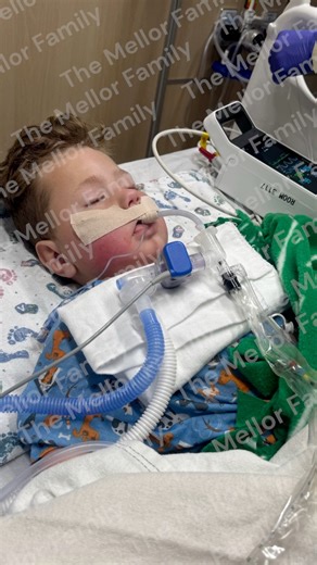 300K views · 12K reactions | The Mellor Family on Reels | Facebook