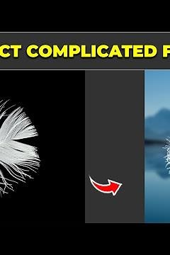 Select Complicated Feather - Photoshop Tutorial