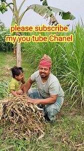 57K views · 1.5K reactions | Please subscribe my you tube Chanel Adil Agro Farm #reels #agro #facebook #bangla #farming #duck | Adil agro farm | Facebook