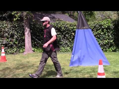 French Ring Level 1 Walk Through