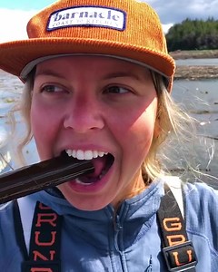 Kelp? We can pickle that! Elevate your charcuterie board to the next level with our Dill Kelp Pickles from the pristine and rugged coastline of Alaska. | Barnacle Foods