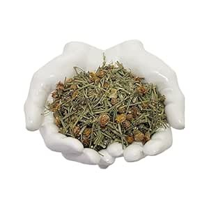 HealinGifts Cota Indian Tea Greenthread Thelesperma Yabanah 2 ounces