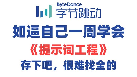 B站超细超全的提示词工程（Prompt Engineering）教程，全程干货无废话！让你少走99%的弯路！草覆虫都能完全学明白！