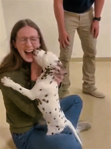 Adopt the Perfect Puppy: Heartwarming Moments of Choice