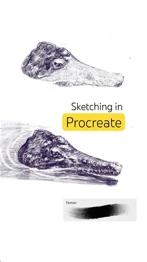 Sketching a crocodile in Procreate. Night Safari, Singapore Zoo drawing