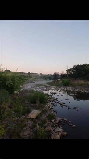 Another beautiful start to the day in Canberra, Molonglo River Reserve. So many skippys, wondering what the weirdo waving and saying good morning is up to! #skippy #urbanbush #inspiredbynature #australianbush #riverwalk #morningwalk #sunrise #newday #cockatoo #australianfloraandfauna | StudioSvenja
