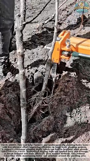 Smart Tool That Speeds Up Tree Planting! #shorts