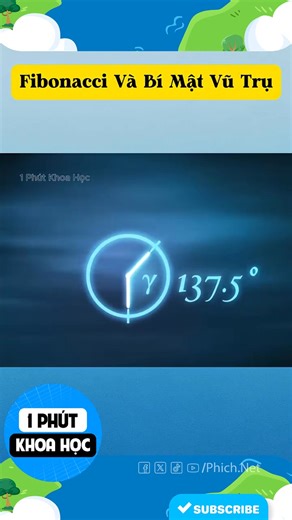 📌 CLB TOÁN HỌC | DÃY SỐ FIBONACCI – VẺ ĐẸP CỦA TOÁN HỌC 📌 Bạn đã từng nghe đến dãy số Fibonacci – một trong những dãy số nổi tiếng và thú vị nhất của Toán học chưa? 🤔 👉 Dãy Fibonacci bắt đầu bằng 0, 1, và mỗi số sau bằng tổng của hai số đứng trước: 0, 1, 1, 2, 3, 5, 8, 13, 21, 34, … ✨ Điều đặc biệt là Fibonacci không chỉ xuất hiện trong các bài toán Toán mà còn hiện diện khắp nơi trong đời sống: 🌻 Cách sắp xếp cánh hoa, lá cây 🐚 Hình dạng vỏ ốc 🏛️ Kiến trúc, hội họa và thiết kế 💻 Tin học