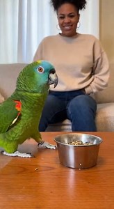 Parrot Explains Why You Can't Afford Anything 💀 #inflation #shorts #relatable Our favorite talking parrot is back, this time complaining about the ever-increasing cost of living! 😂 This funny animal videos moment captures a parrot's hilarious take on how much money things cost, especially the rising gasoline prices. Watch as he discusses personal finance challenges and budgeting woes, including the insane moving expenses, proving he's one of the smartest "funny animals" around. #fblifestyle #p