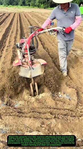 Powerful Mini Tiller Machine in Action 🌱🚜