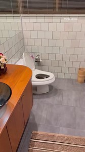 Resident shocked to find massive python curled up in toilet bowl | The Scottish Sun