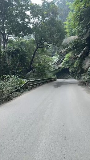 28K views · 545 reactions | Kind attention State Highways department,to avoid accidents kindly fix the safety guards @Nadugani Road  #statehighways #collnil #mpnil #mlagdr #dronil #rdogdr #cmo #mkstalin #gudalur #nilgiris #naduganiroad #socialworkersgudalur #highwaysminister | Suresh Kaladi | Facebook