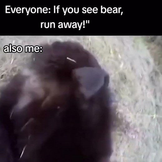 Brave Man Tickles Bear's Toes! Must SEE it to Believe it!!