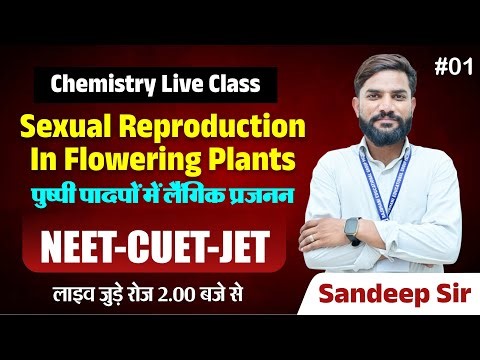 Sexual Reproduction in Flowering Plants 🌸| NEET-CUET-JET 2025 | Biology Live Class | Sandeep Sir