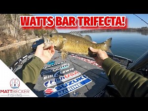 New Year's Day SMASH FEST on WATTS BAR!