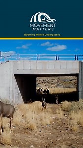 22K views · 172 reactions | Wyoming is home to some impressive...