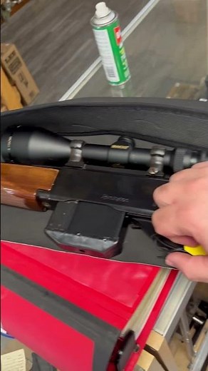 Remington Model 4 243