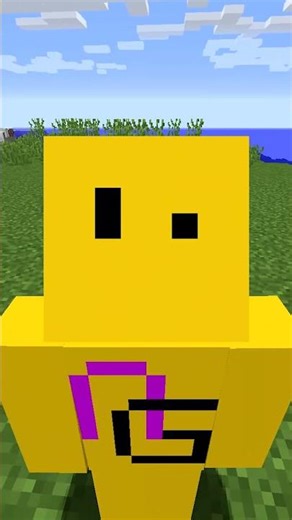Rarest Seed in Minecraft History