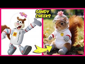 Sponge Bob 🧽🍍 Movie Characters As Babies + Real One Quiz | Sandy Cheeks, Sponge Bob