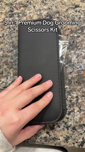 Essential Grooming Tools for Long-Haired Dogs