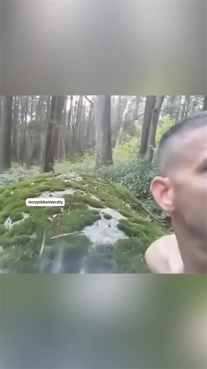 A hiker in the Appalachian Mountains noticed he’s being followed and stalked by a tall hairy Cryptid looking creature! He notices each time he looks back it hides behind a tree! | Cryptid University