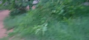 6.6K views · 181 reactions | Prescott,Az flooding. #Monsoonseason | The Prescott Times | Facebook