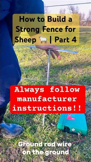 How to Build a Strong Fence for Sheep 🐑 | Part 4