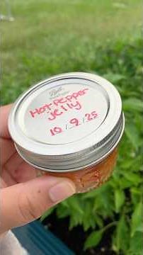 Sweet Heat in a Jar: How to Make Hot Pepper Jelly 🌶️🍯