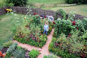 Growing Your Own Food - Learn How!