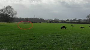 10K views · 123 reactions | Tuesday 28th January 2020 Cotswold Vale...