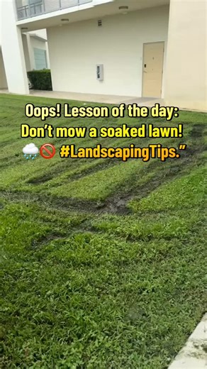 Wet grass + heavy mower = tire ruts  Lesson learned: don’t mow when it’s soaked. Follow for real landscaping business tips. #landscapingbusiness #landscapetips #lawncare | Garden Aid Landescaping | Facebook