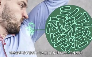 【科普】如果一年不洗澡会怎样？（开眼）（中文字幕）