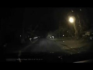 Deer Almost Crashes Into Moving Car Twice While Crossing Road - 1491042