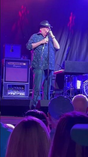 Blues Traveler / But Anyway LIVE #2024 #saratoga