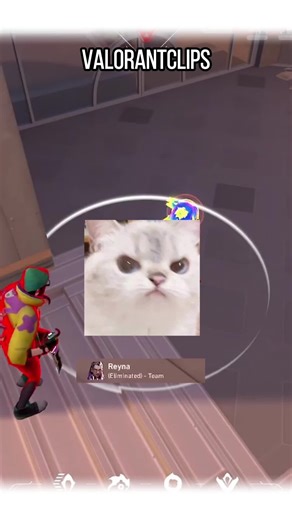 This Sage LET IT OUT #Valorant #fyp #valorantclips #valorantgaming #valorantfunny #valorantclip #valorantmemes