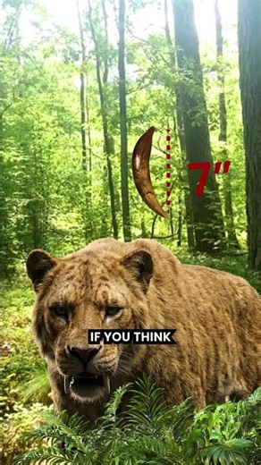 Who Had the Biggest Fangs in History?