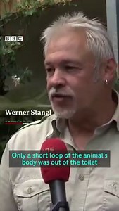 111K views · 688 reactions |  sits on and gets bitten by ! bbc.in/3hnl4Q7 | BBC News | Facebook