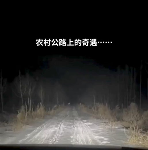 #灵异事件 #惊魂一刻 #民间诡闻实录 #诡异一幕 #台湾灵异事件 请关注FACEBOOK:https://www.facebook.com/profile.php?id=61553346443397 全新企业总裁广告配套 500万 粉丝主页🥳 900万流量平台‼️ 1000个面子书主页‼️ ✅提高生意曝光率‼️ ✅增加生意量‼️ ✅每月900万的流量，能让你的广告瞬间疯传爆红‼️ ✅超优惠价格！欢迎任何商家洽问合作‼️ 💁🏻‍♂️欢迎PM或致电 011-55876898 了解更。 #TetapMediaMarketing #曝光率 #广告配套 | 大马灵异事件