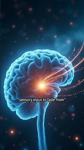 Sensory Adaptation How Your Brain Filters Constant Stimuli