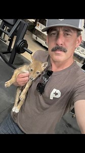 62K views · 469 reactions | What kind of pup is this? Bull dog Shitzu mix? Ha! Here's life lately... | Aaron Watson | Facebook