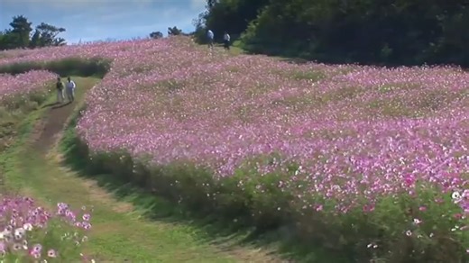 【辞hsjsh】新作上线，快来看看！
