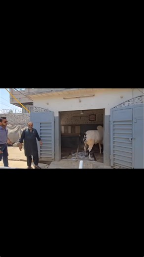 حلقة 1 من داندا: أساطير وأنمي مع هجي وحيد