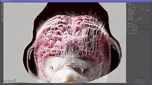 141K views · 1K reactions | TURKEY with HUMAN proportions! | Photoshop Surgeon | Facebook