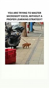 16K views | ✅ Enroll in Our Microsoft Excel Course and Gain Lifetime...